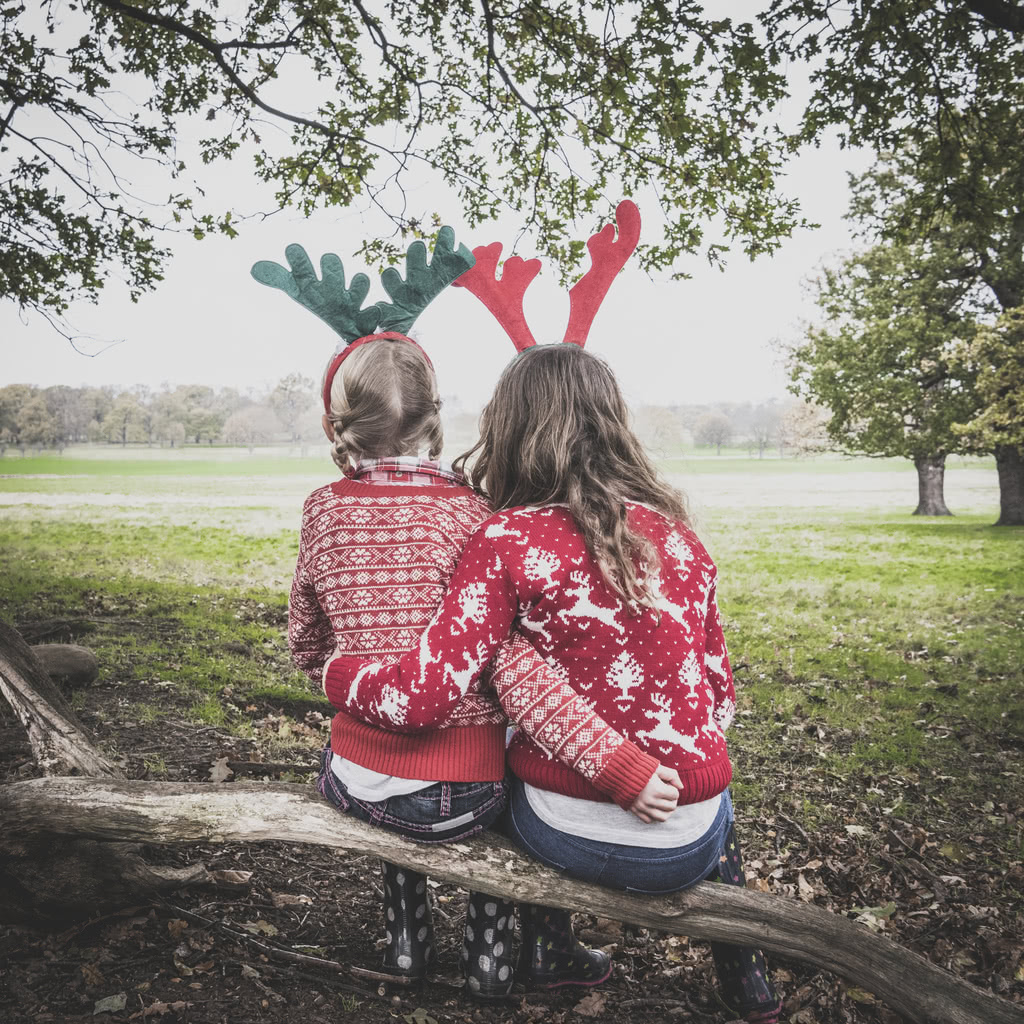 Two female best friends sitting on tree branch in park wearing reindeer antlers and Christmas jumpers, rear view