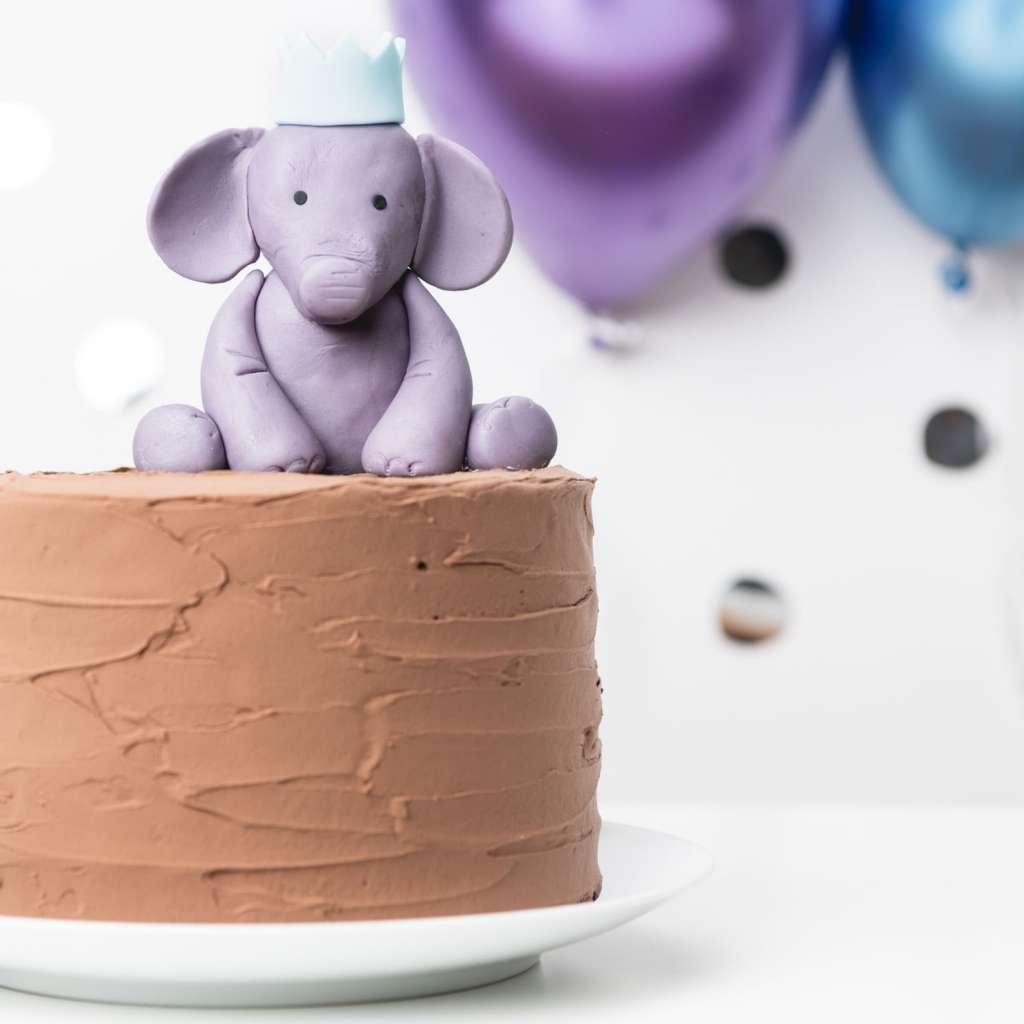 chocolate cake with a cute molded elephant on top.